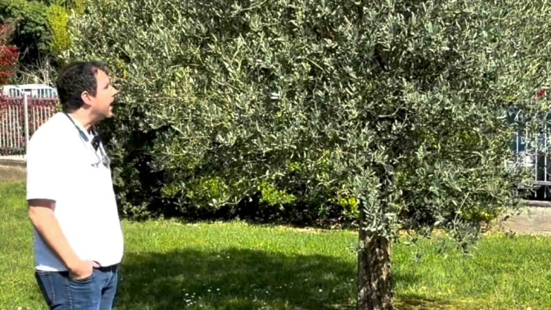 LA CONDIZIONE UMANA che non se ne va ma resta in mezzo a noi per sempre